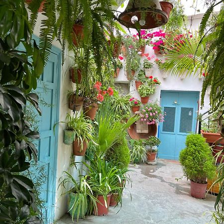 Apartamento La Muralla Vejer de la Frontera Dış mekan fotoğraf