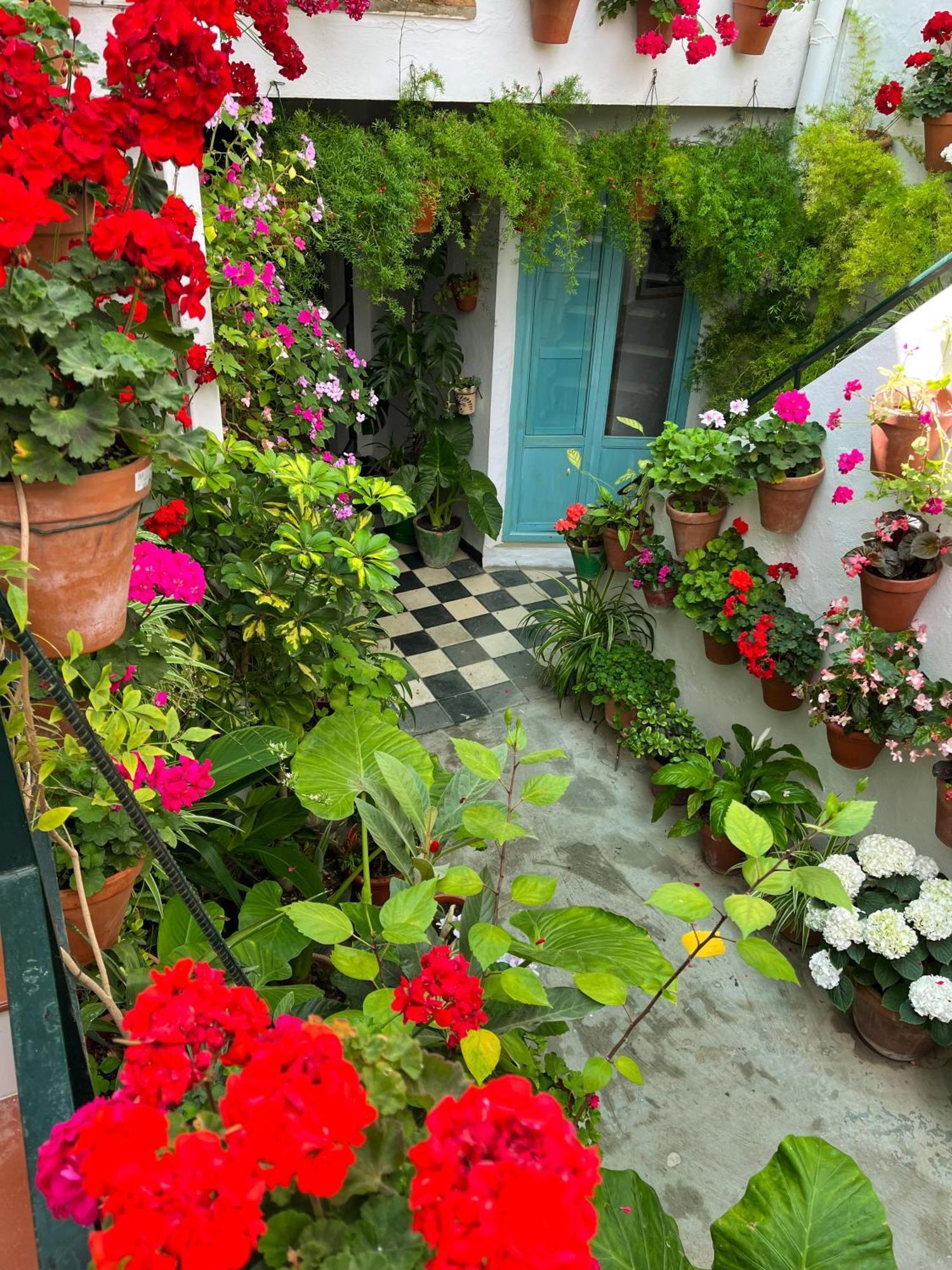 Apartamento La Muralla Vejer de la Frontera Dış mekan fotoğraf