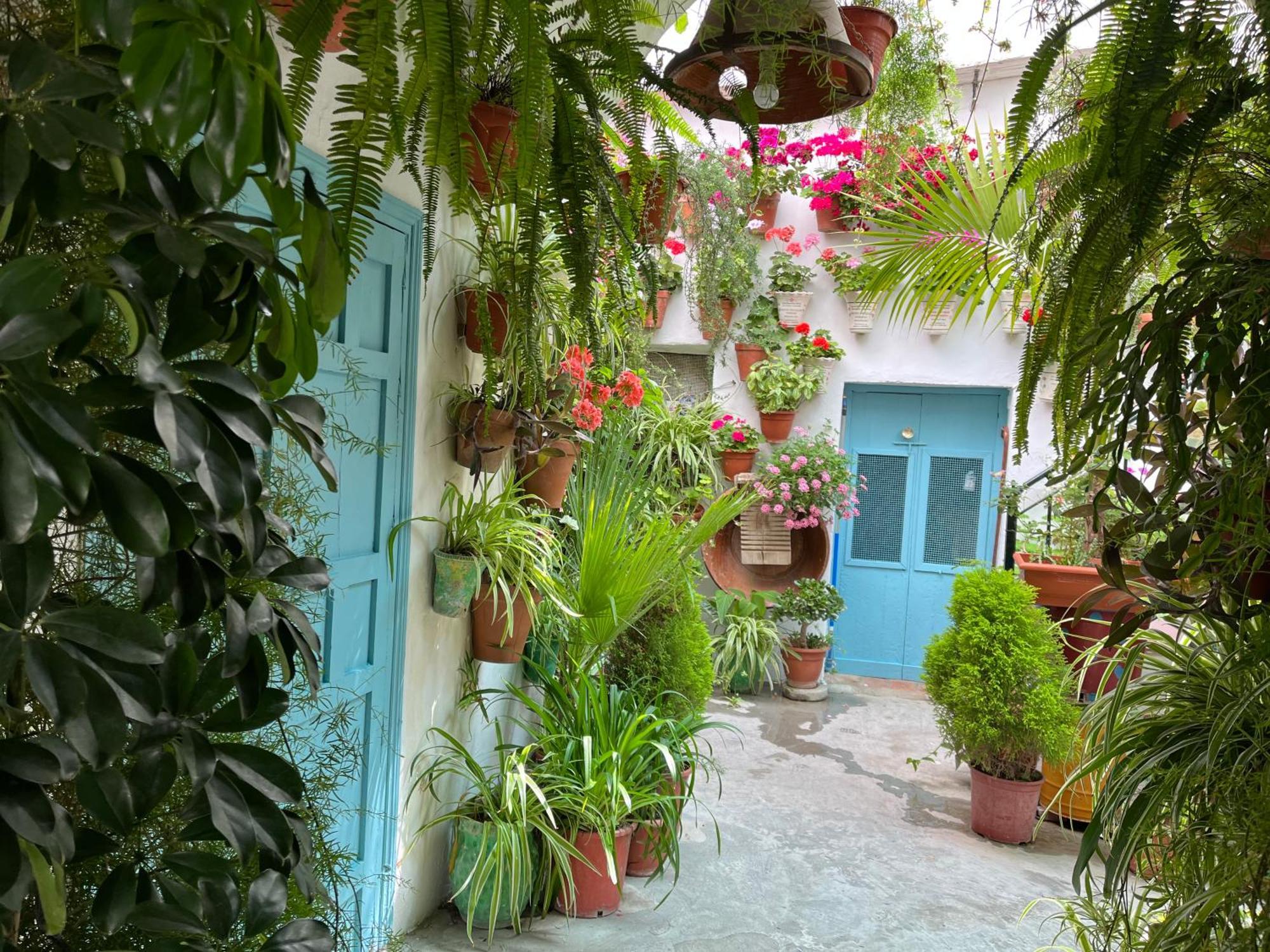 Apartamento La Muralla Vejer de la Frontera Dış mekan fotoğraf